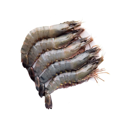 Bagda