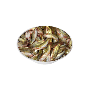 Small Fish